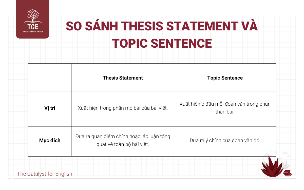 So sánh Thesis Statement và Topic Sentence