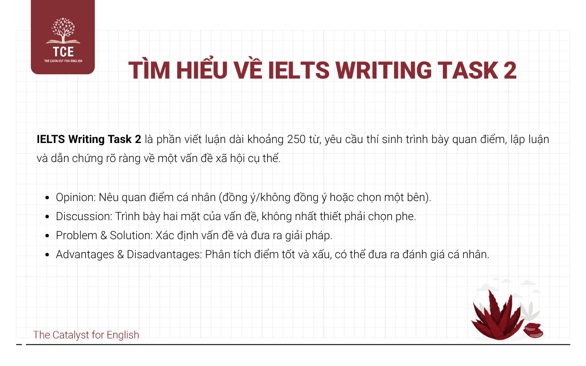 Tìm hiểu về IELTS Writing Task 2