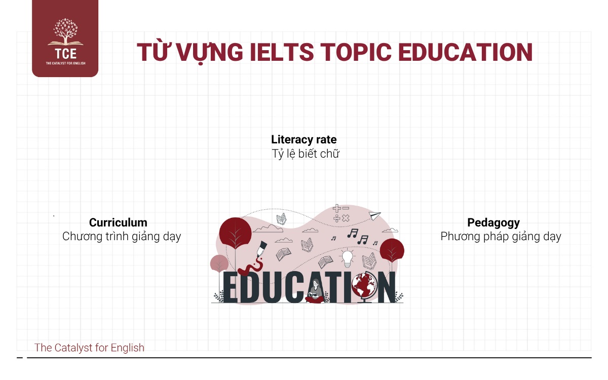 Từ vựng IELTS topic Education (Giáo dục)