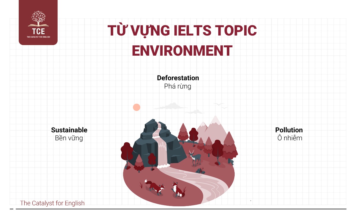 Từ vựng IELTS topic Environment (Môi trường)