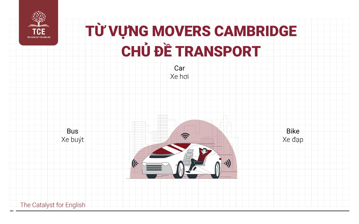 Từ vựng Movers - Transport