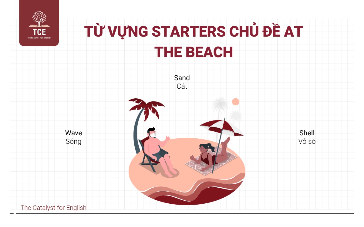 Từ vựng Starters chủ đề At the beach