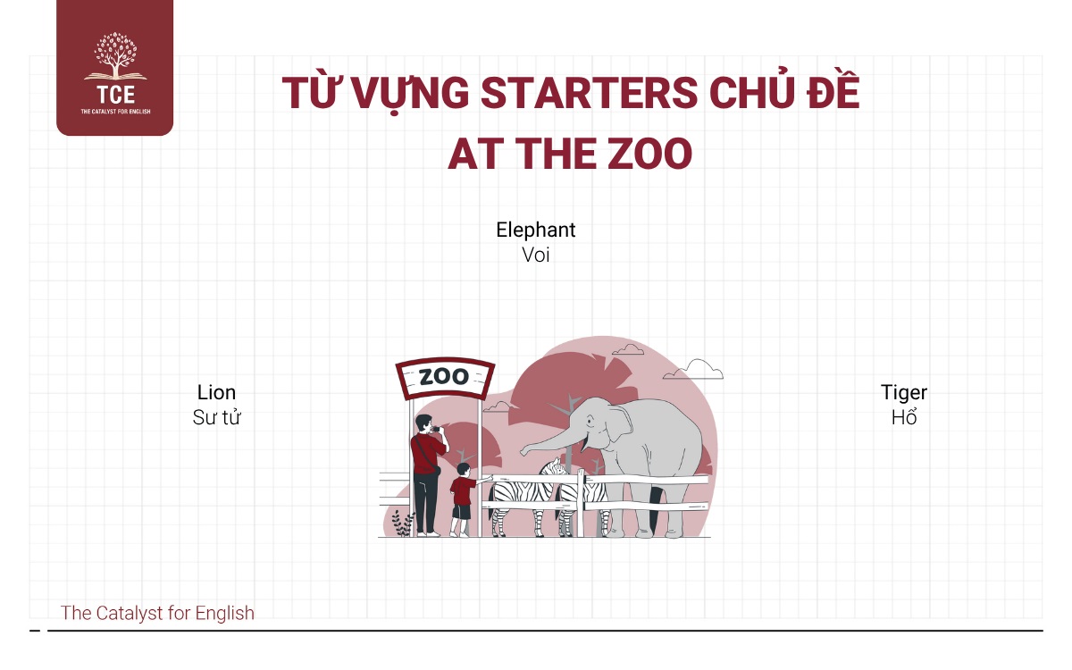 Từ vựng Starters chủ đề At the zoo