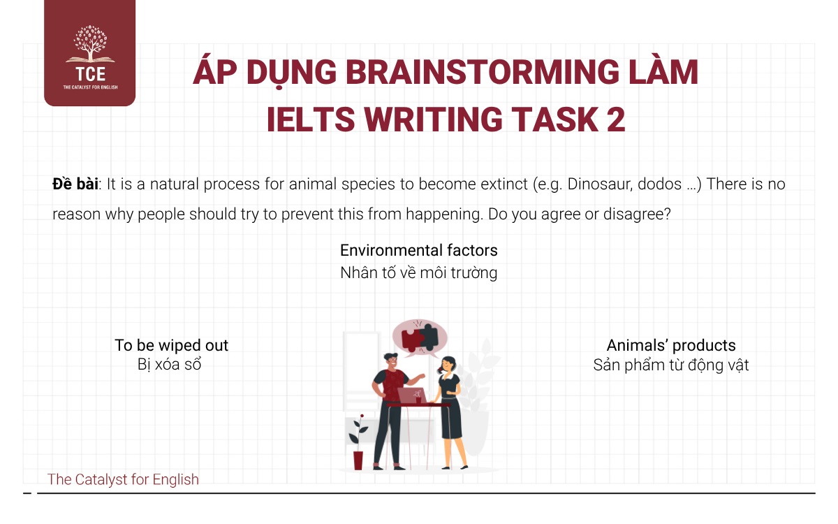 Áp dụng brainstorming làm IELTS Writing Task 2