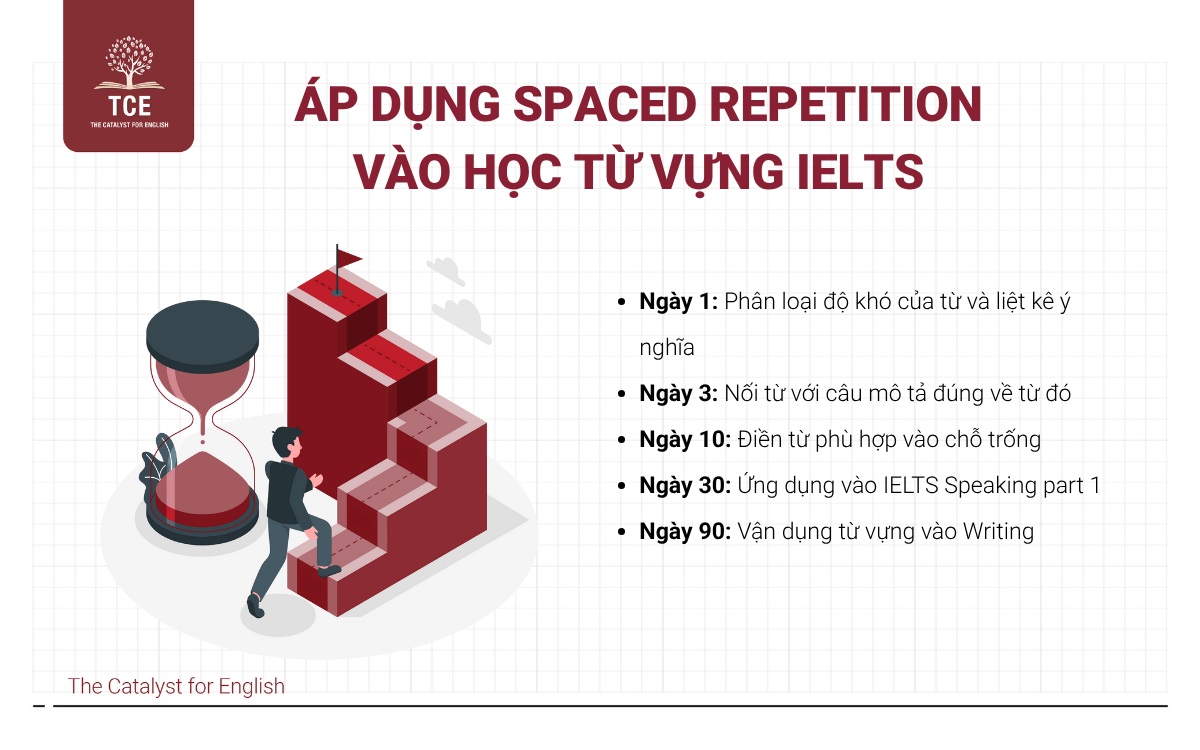 Áp dụng phương pháp Spaced Repetition vào học từ vựng IELTS