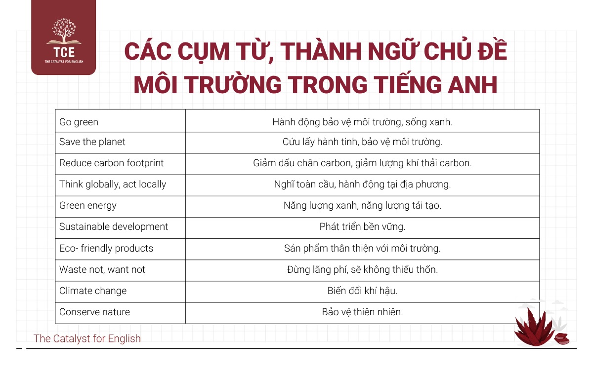 Các cụm từ, thành ngữ chủ đề môi trường trong tiếng Anh