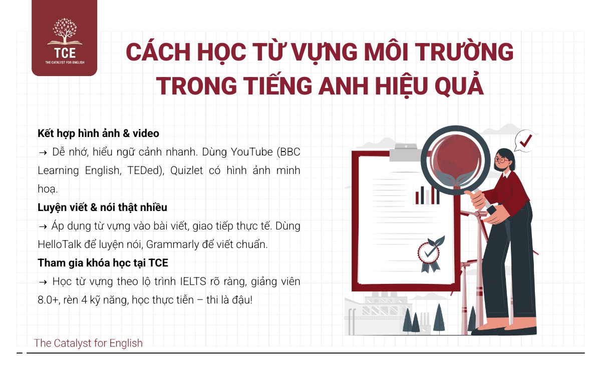 Cách học từ vựng về môi trường trong tiếng Anh hiệu quả