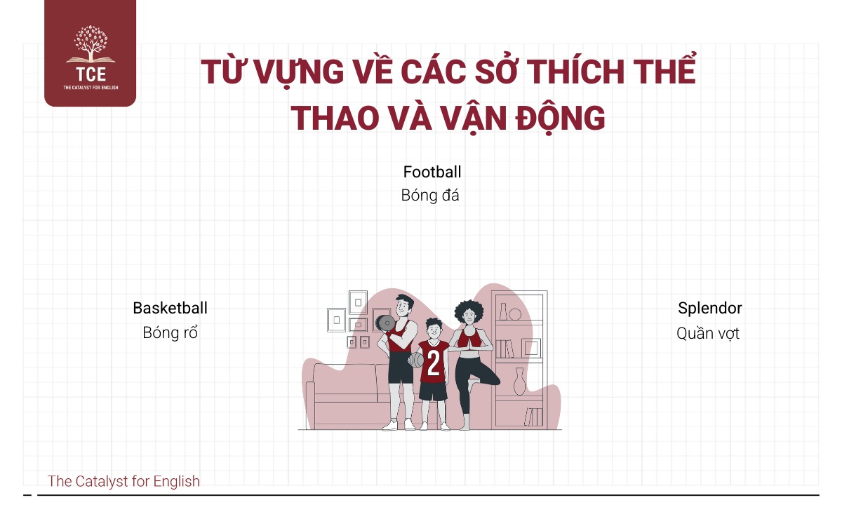 Từ vựng về các sở thích thể thao và vận động