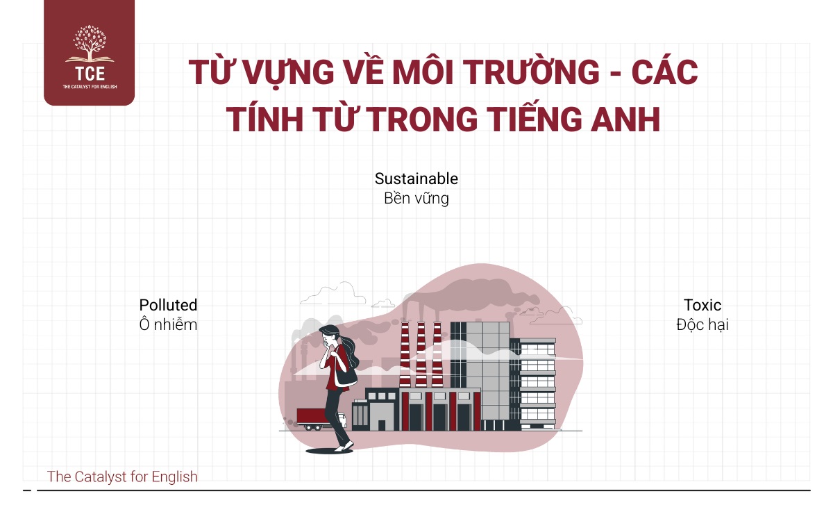 Từ vựng về môi trường - Các tính từ trong tiếng Anh