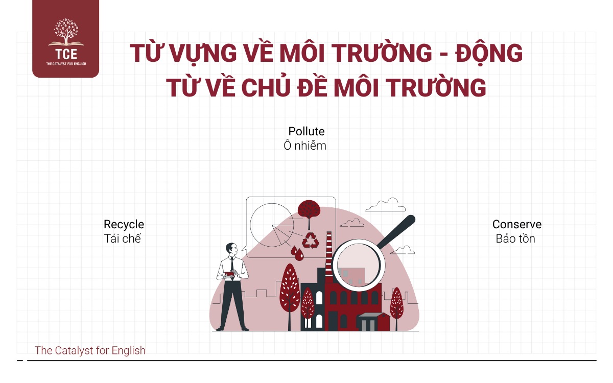 Từ vựng về môi trường - Động từ về chủ đề môi trường