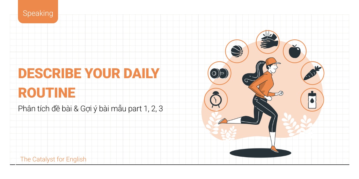 Describe your daily routine