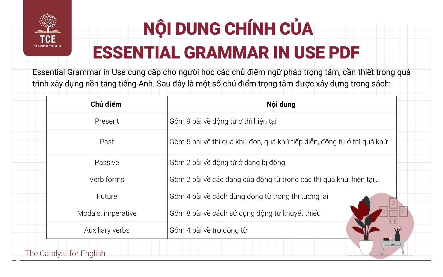 Nội dung chính của Essential Grammar in Use PDF