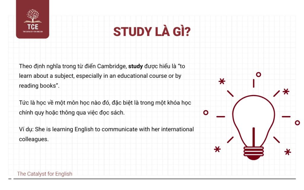 Phân biệt Learn và Study trong tiếng Anh dễ nhớ nhất | The Catalyst for ...
