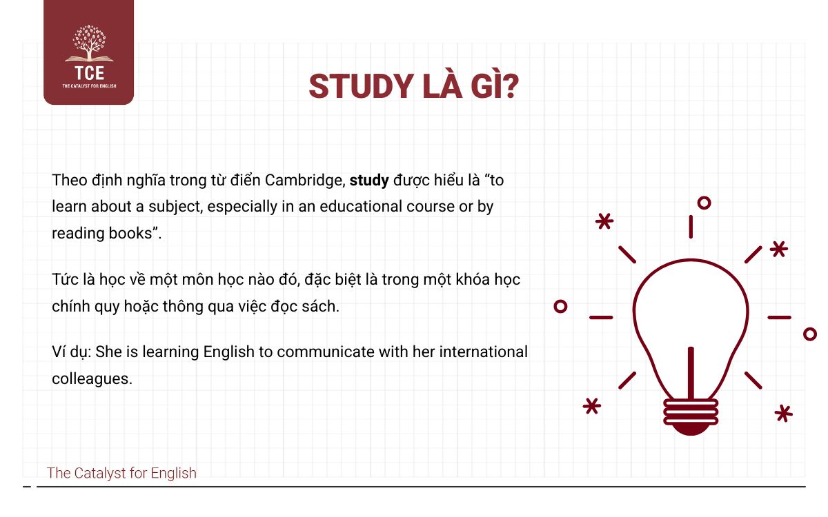 Study là gì?