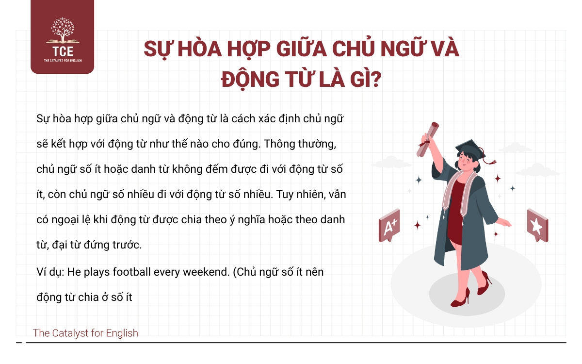 Sự hòa hợp giữa chủ ngữ và động từ là gì?