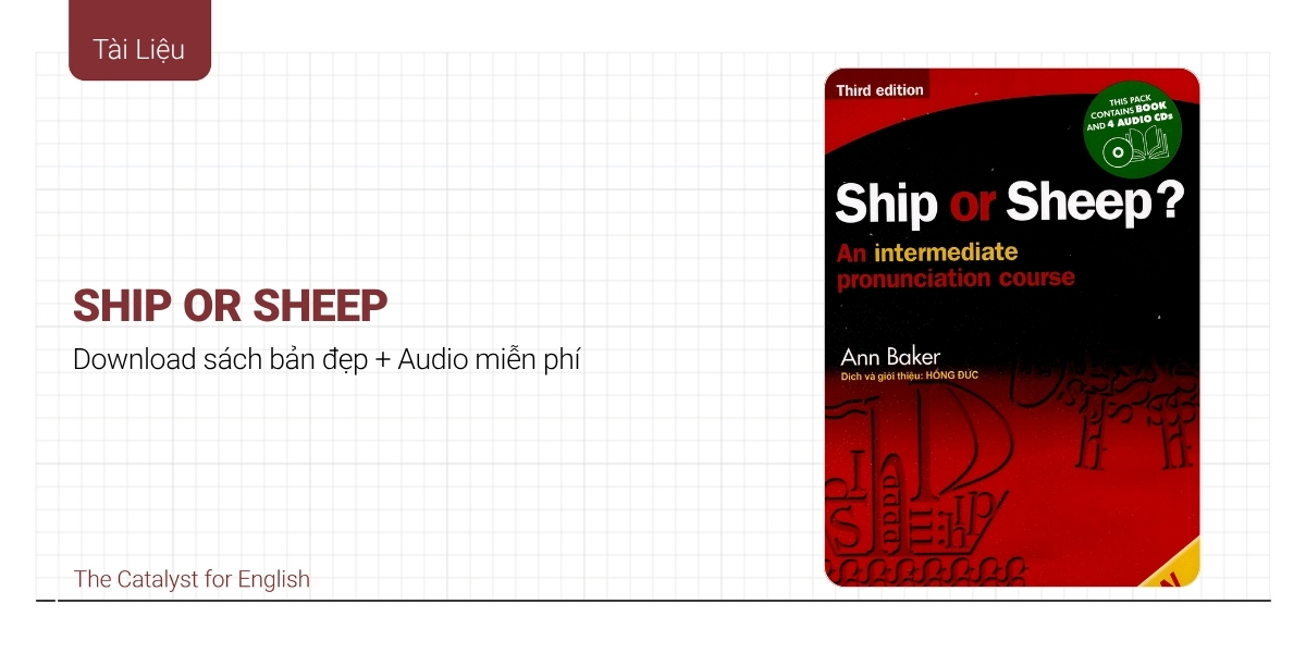 [PDF+Audio] Review chi tiết sách Ship or Sheep