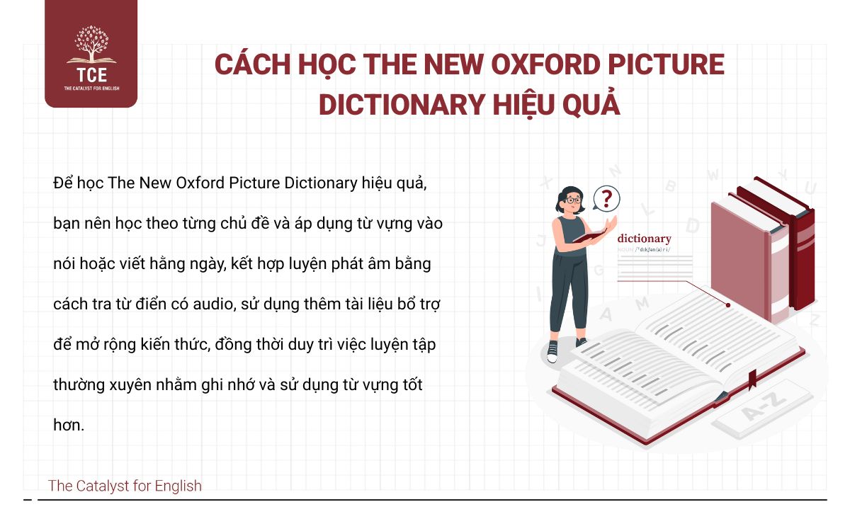 Cách học The New Oxford Picture Dictionary hiệu quả
