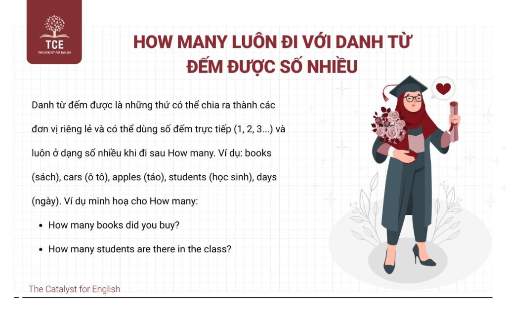You How Many Phân biệt how much và how many trong tiếng Anh chi tiết | The Catalyst ...