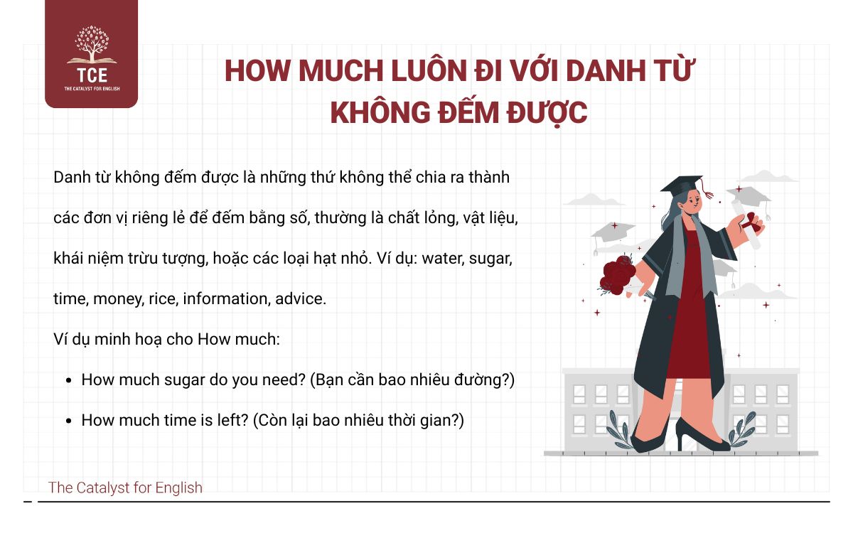 How much luôn đi với danh từ không đếm được (Uncountable Nouns)