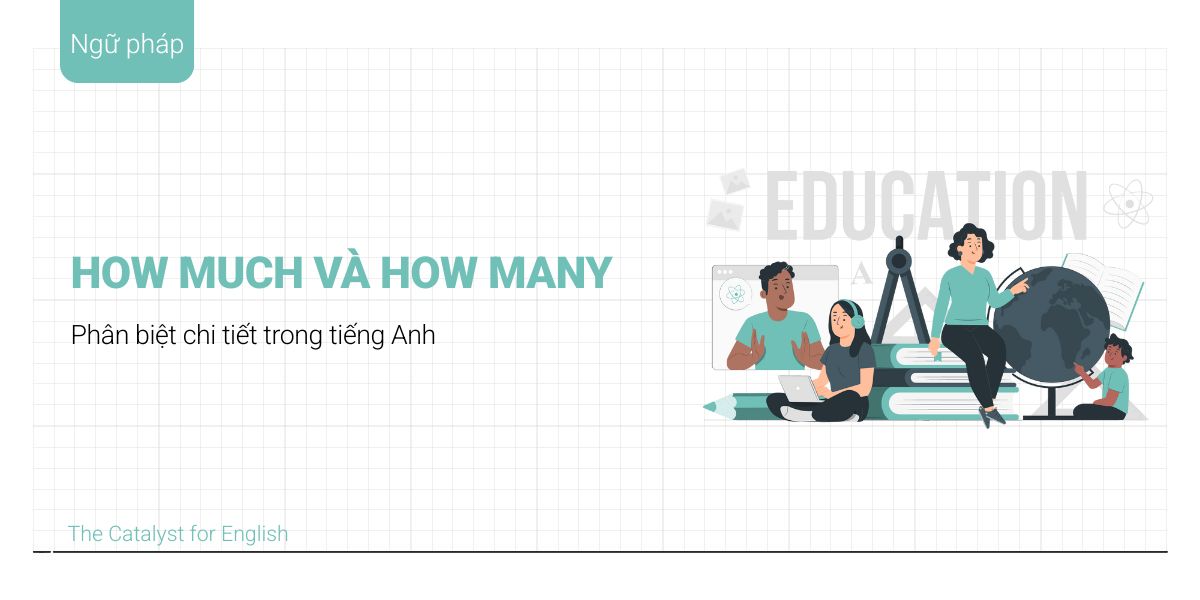 Phân biệt how much và how many trong tiếng Anh chi tiết