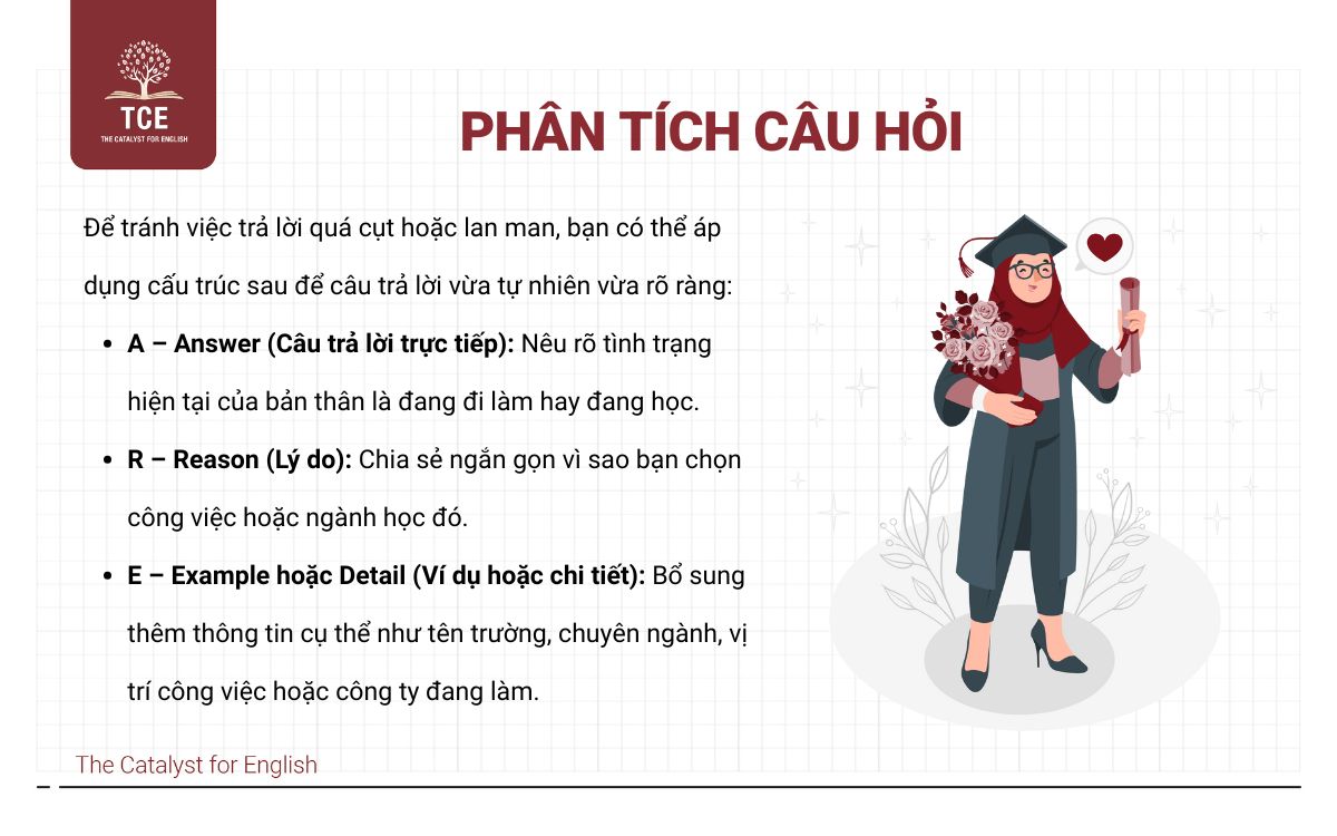 Phân tích câu hỏi “Do you work or are you a student”