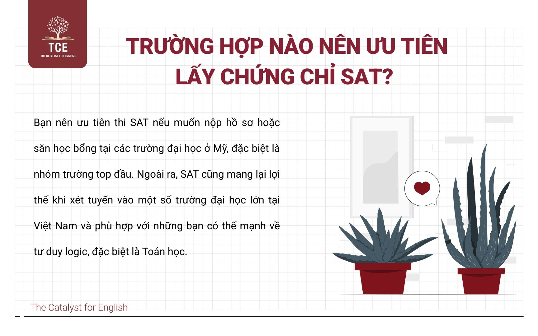 Trường hợp nào nên ưu tiên lấy chứng chỉ SAT?